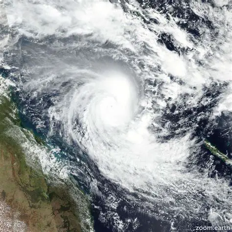 The Formation of Tropical Cyclone Alfred