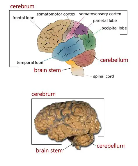 The Four Main Sections of WinClear