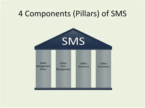 The Four Primary Components of SMS