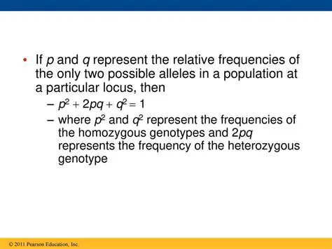 The Frequency of the Heterozygous Genotype