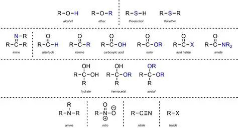 The Functional Group in an Ester