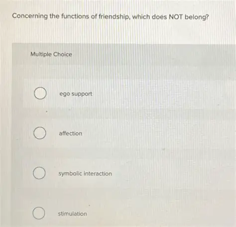 The Functions of Friendship