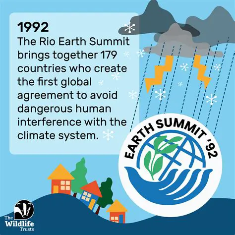 The Genesis of the Rio 92 Summit
