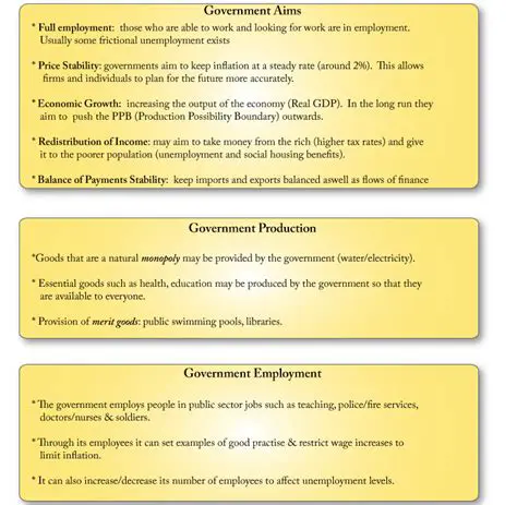 The Government as a Producer