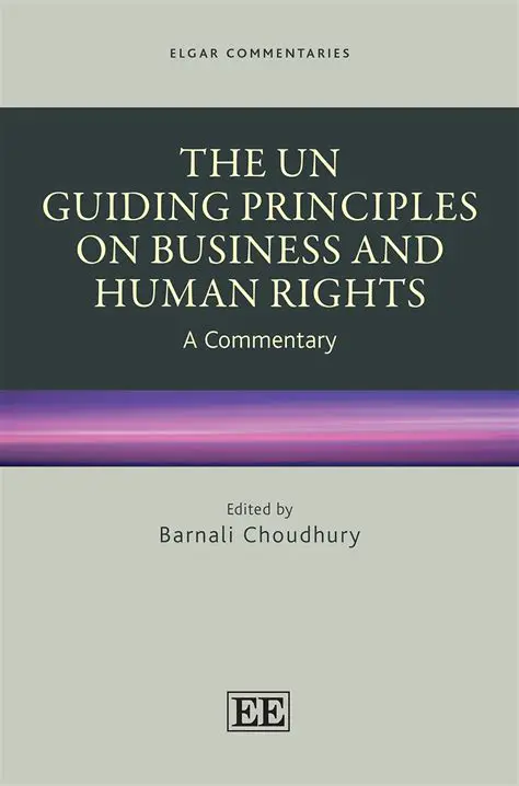 The Guiding Principles on Business and Human Rights