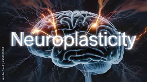 The History of Neuroplasticity