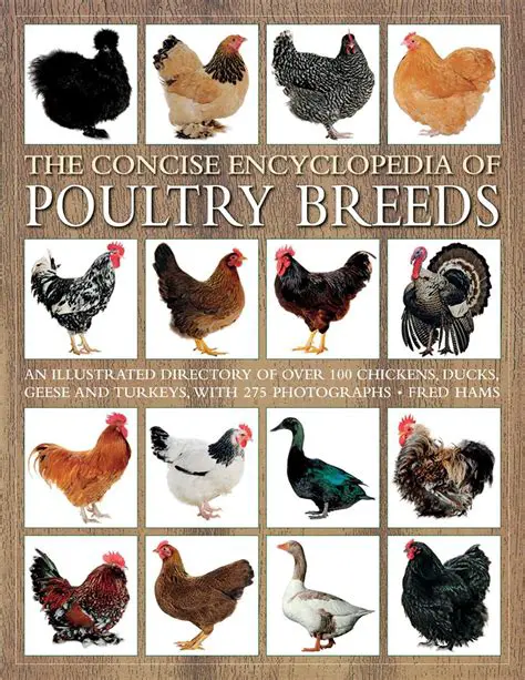 The History of Poultry in the United States