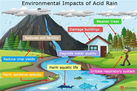 The Impact of Acid Rain on Trees
