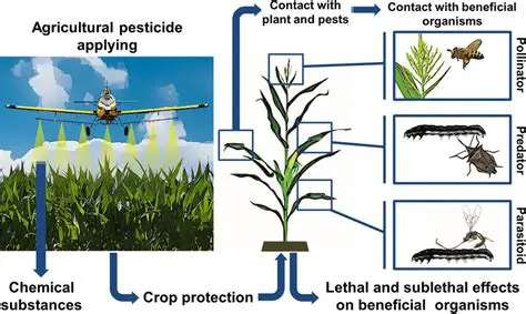 The Impact of Chemical Pesticides on Water Sources