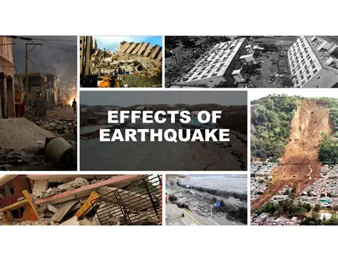 The Impact of Earthquakes on Buildings and the Importance of FVD