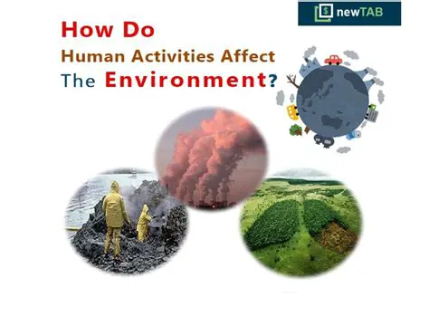 The Impact of Human Activities on the Environment