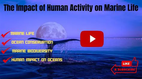 The Impact of Human Activity on the Ocean