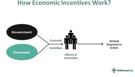The Impact of Incentives on Producers