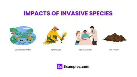 The Impact of Invasive Species on Native Species