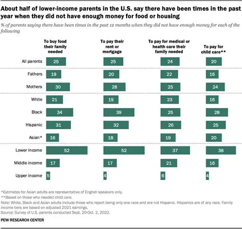 The Impact of Low Income on Food Security