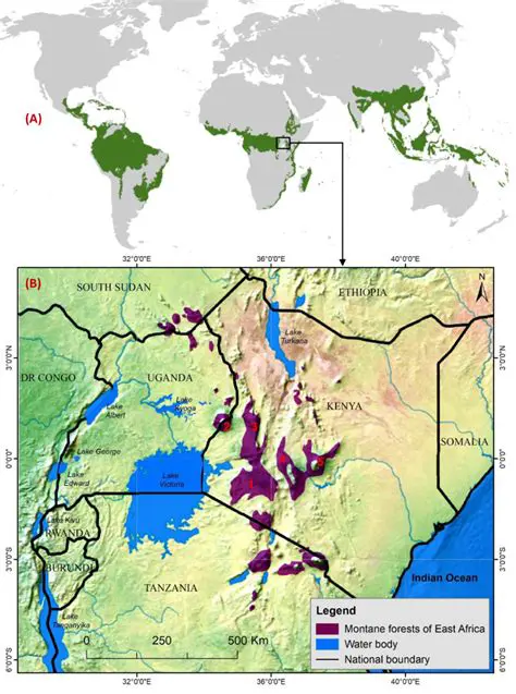 The Impact of Monsoon Winds on Early Traders in East Africa