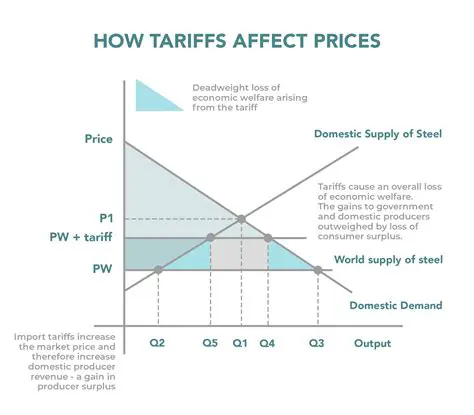 The Impact of Tariffs on Consumers