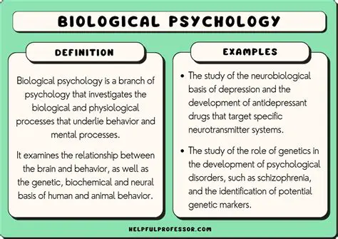 The Implications of Abandoning the Idea of Equal Rates of Psychopathology