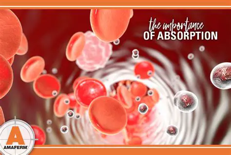 The Importance of Absorption