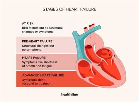 The Importance of Accurate Diagnosis and Treatment in Heart Failure