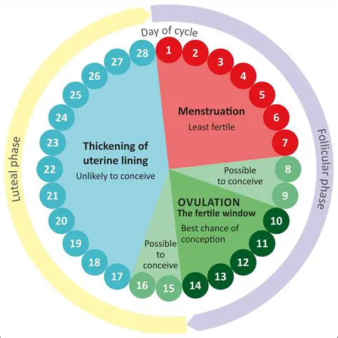 The Importance of an Ovulation Calendar