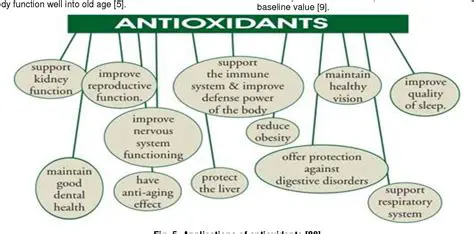 The Importance of Antioxidant Activity Testing