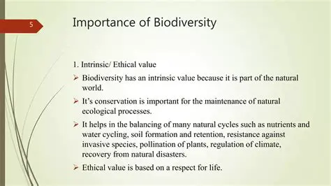 The Importance of Biodiversity Conservation