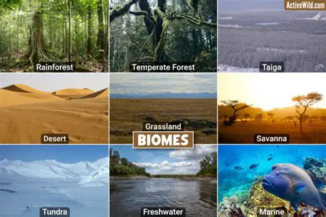 The Importance of Biome Classification