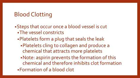 The Importance of Blood Classification