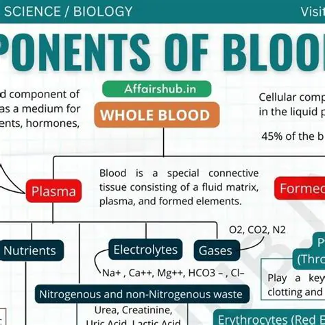The Importance of Blood Components
