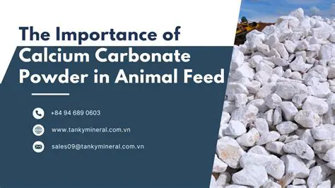 The Importance of Calcium in Animal Feed