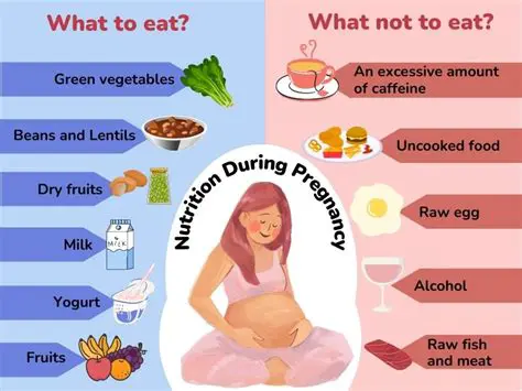 The Importance of Calorie Intake during Pregnancy