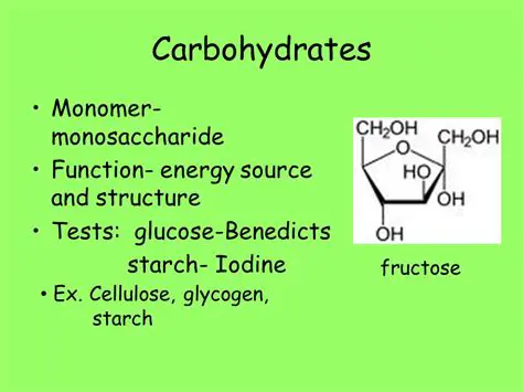 The Importance of Carbohydrate Monomers