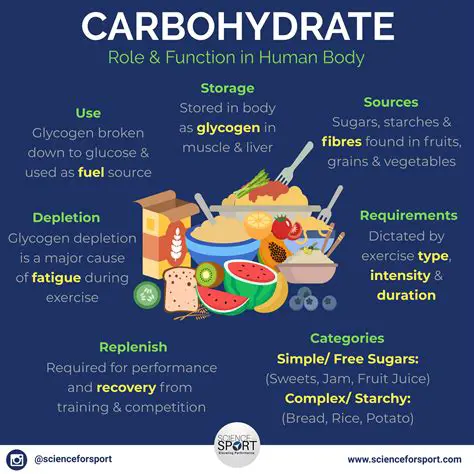 The Importance of Carbohydrates in the Human Body