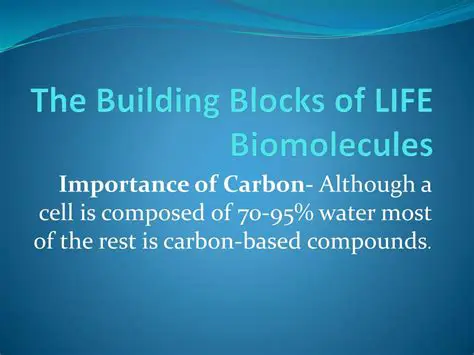 The Importance of Carbon in Biomolecules