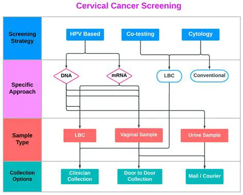 The Importance of Cervical Cancer Research