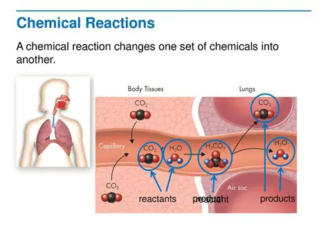 The Importance of Chemical Reactions