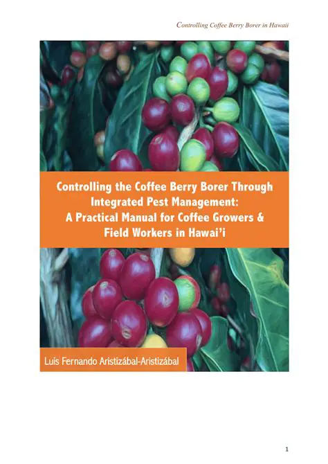 The Importance of Controlling Coffee Fruit Borer Attacks