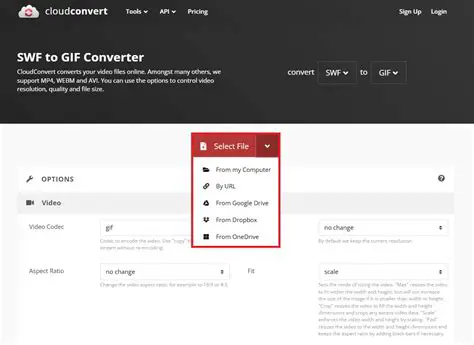 The Importance of Converting SWF Files