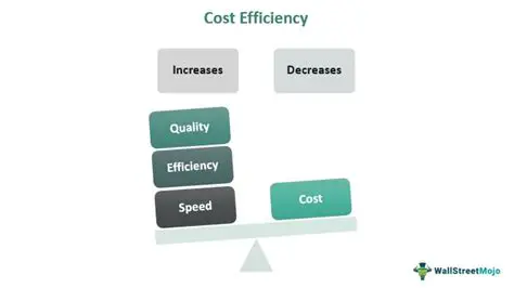 The Importance of Cost Efficiency