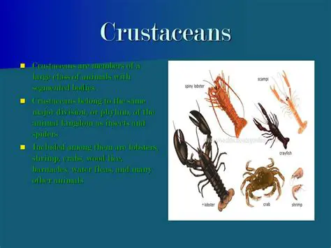 The Importance of Crustaceans in the Ecosystem