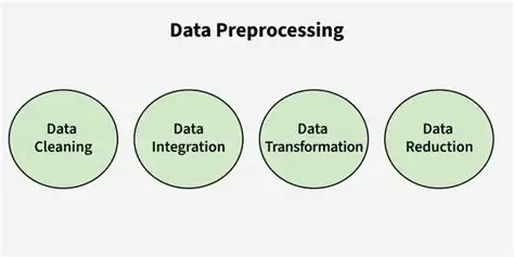 The Importance of Data Preprocessing