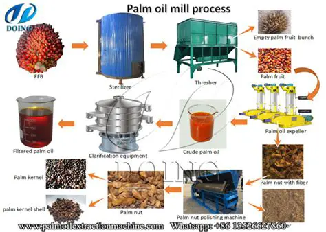 The Importance of Decanter Technology in Palm Oil Production