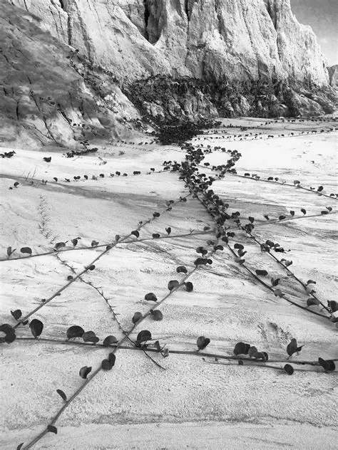 The Importance of Deliberation