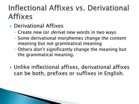 The Importance of Derivational Affixes