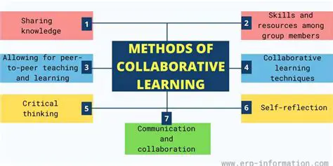 The Importance of Digital Tools in Collaborative Learning