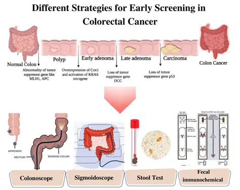 The Importance of Early Detection in Colorectal Cancer