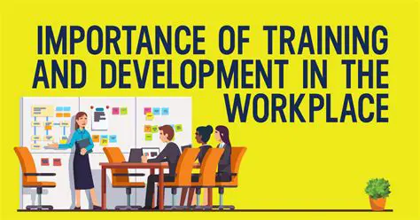 The Importance of Education and Training in the Workplace