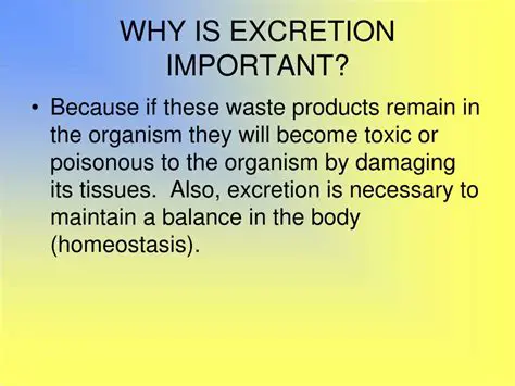 The Importance of Excretion