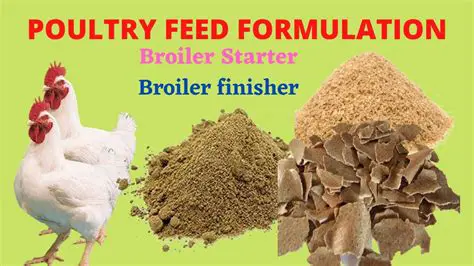 The Importance of Fish Meal in Broiler Feed